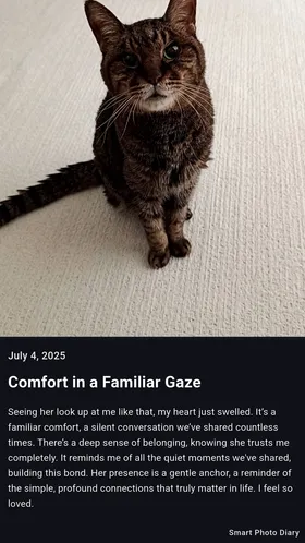 Smart Photo Diary screenshot 1