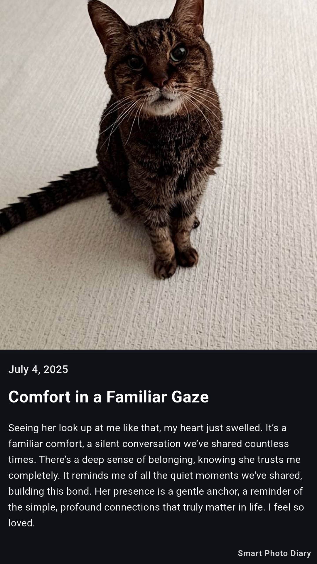 Smart Photo Diary screenshot 1